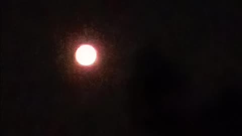 So got a video of the Strawberry moon