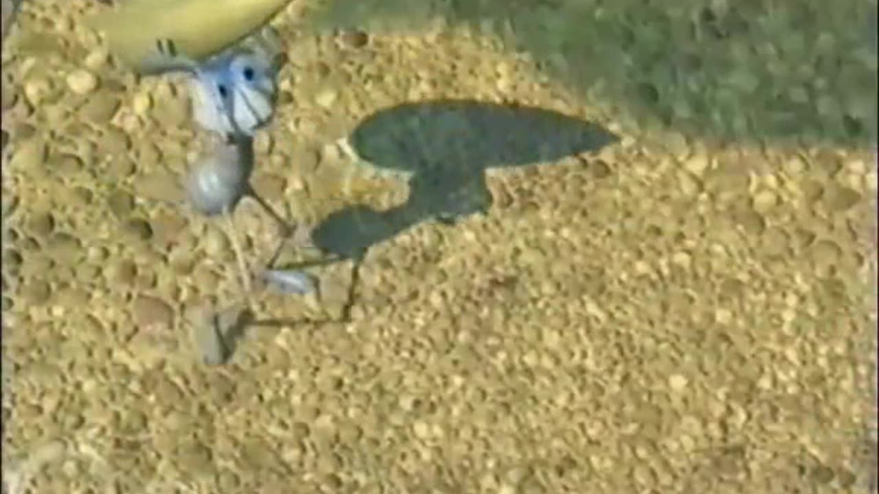 02.160.bug-life-plant-vision