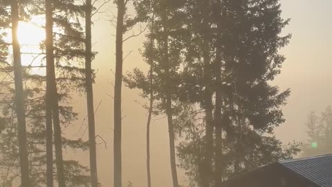 Fall Is Here