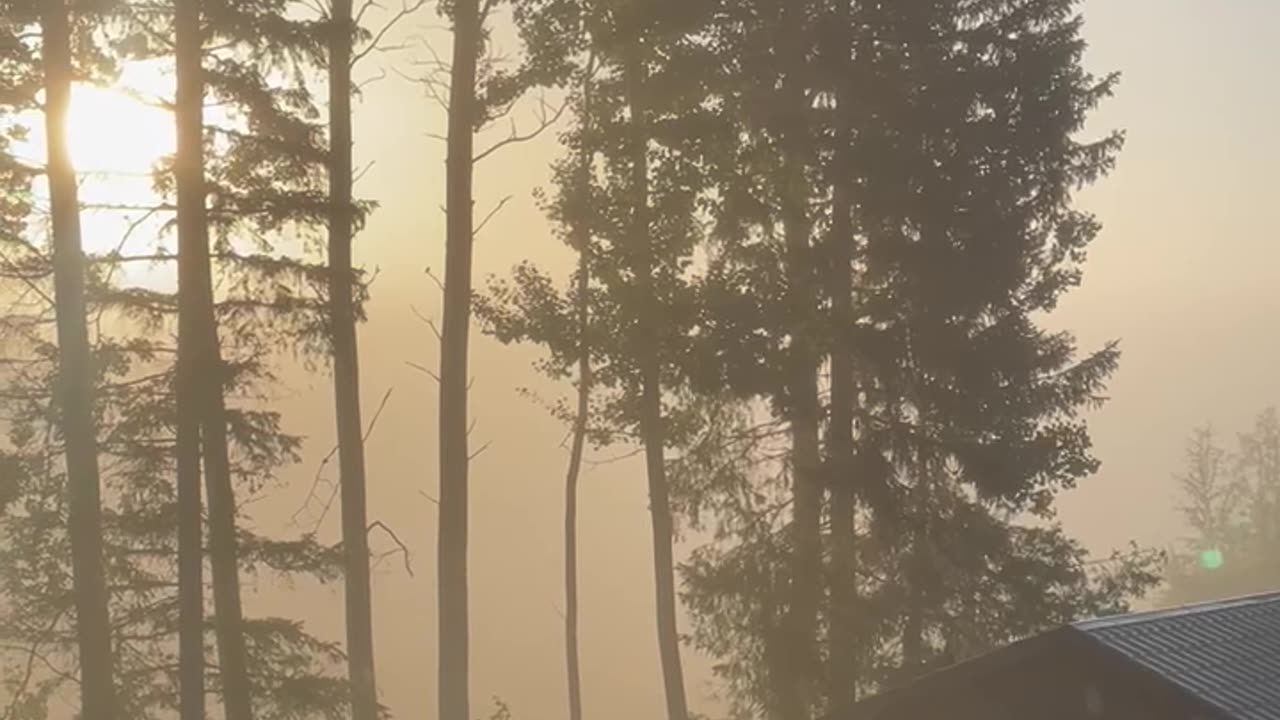Fall Is Here