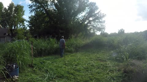 CITY VIOLATION CUT- Overgrown Lawn Before and After - Abatement Property Satisfying Lawn Care