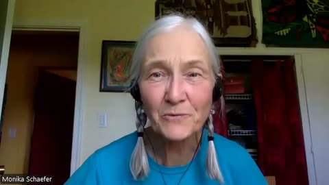Monika Schaefer, Wanda & Dallas Part 2 Destroying the Lies behind SWEJ