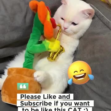 😂 Funny animal videos of the day #funny #funnyvideo #memes #funnycats #laugh
