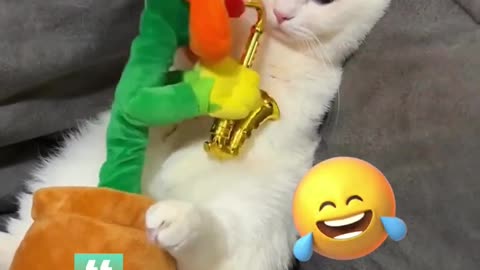😂 Funny animal videos of the day #funny #funnyvideo #memes #funnycats #laugh
