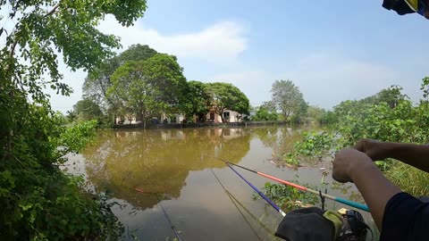 Köder am Ufer Angeln pur #Flussfischen #Angelzeit #Natur