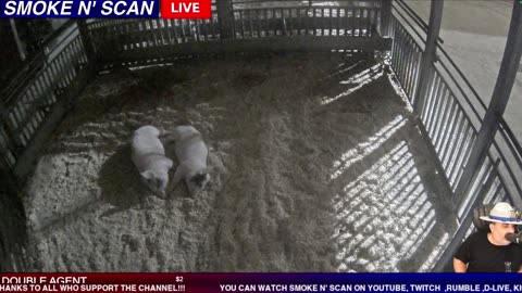 LIVE POLICE CHASE NOW! #policechase #chase