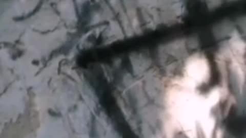 🏴☪️✝️☦️Allah🌟 Akbar!!! MÓJ SATANISTYCZNY 6666 ❤️URBEX - ✡️Żydzi Do Gazu!! 🏴‍☠️Hai hitla