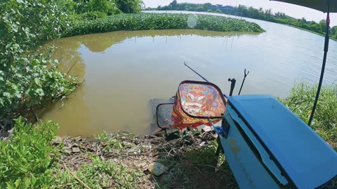 Flussgeflüster Auf der Suche nach Fischen #Flussfischen #Fischabenteuer #Outdoor