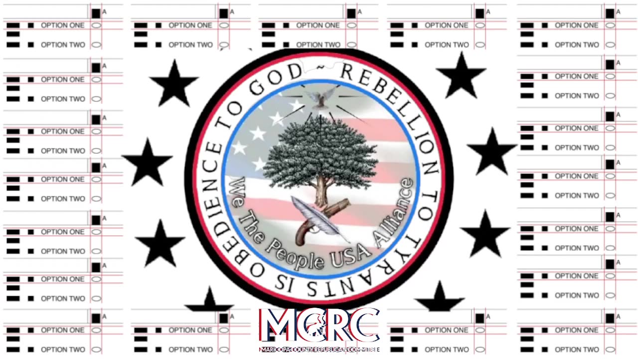 AMERICAN BAR ASSOCIATION MASQUERADE WITH NATIONAL ELECTIONS PROCEDURES MANUAL