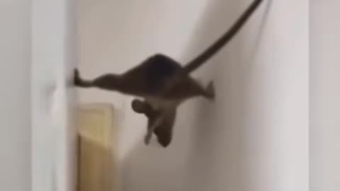 😱👹 The Creepiest Paranormal Activity Caught Live! | TheHauntingHour