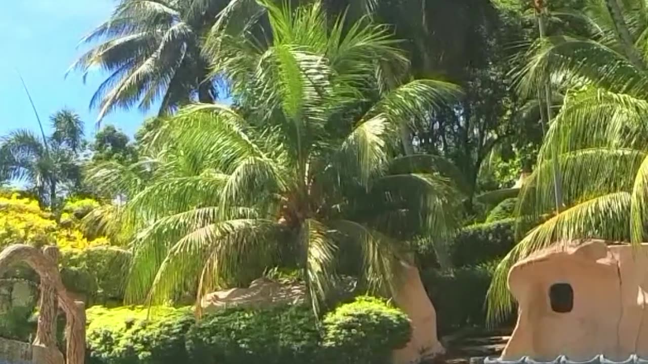 Water wrestling