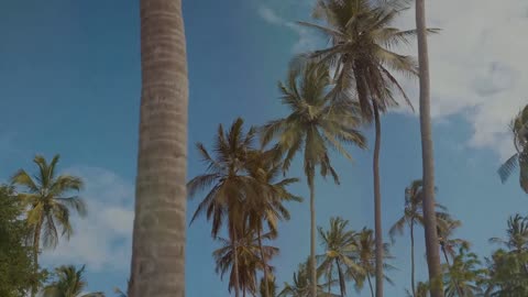 Jordan Feliz - “Can’t Lose” (Official Lyric Video)