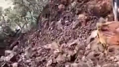 Dog goes mud surfing - he’s fine