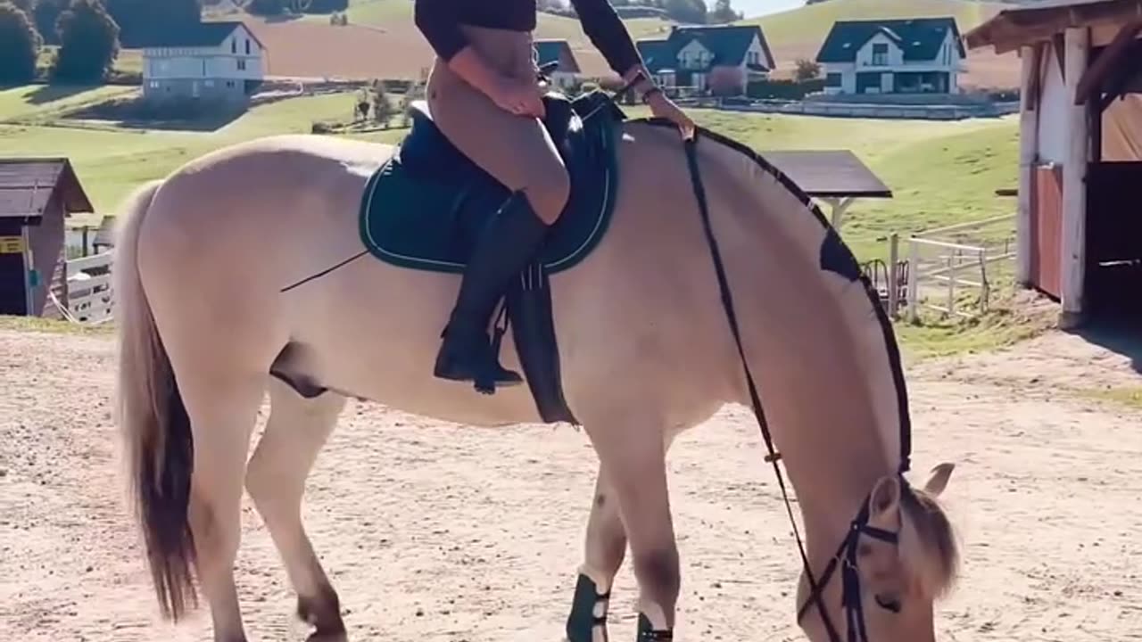 "This Horse Just Proved How Intelligent They Are!" 🐴🧠👏