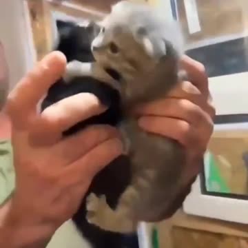 Magnetic attachments