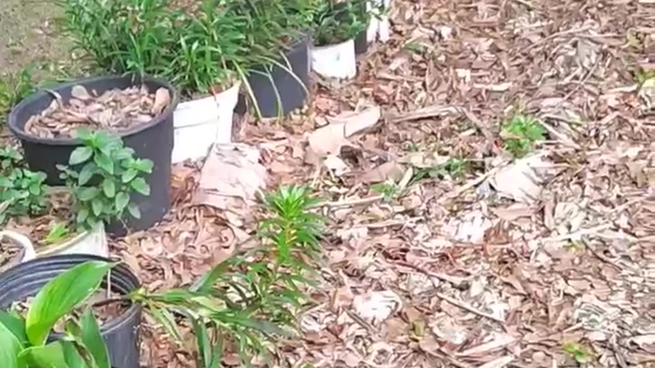 Everything must go to the new house