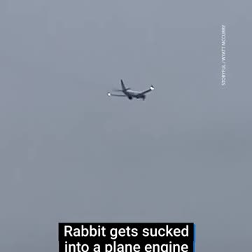 A rabbit was sucked into a United Airlines engine exploding