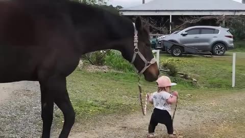 Horses love baby