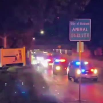 Watch As Police Honor A Fallen Four-Legged Hero