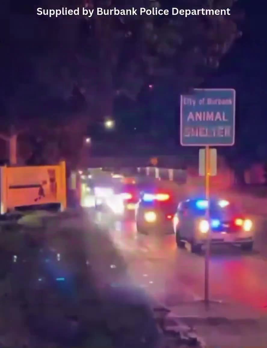 Watch As Police Honor A Fallen Four-Legged Hero