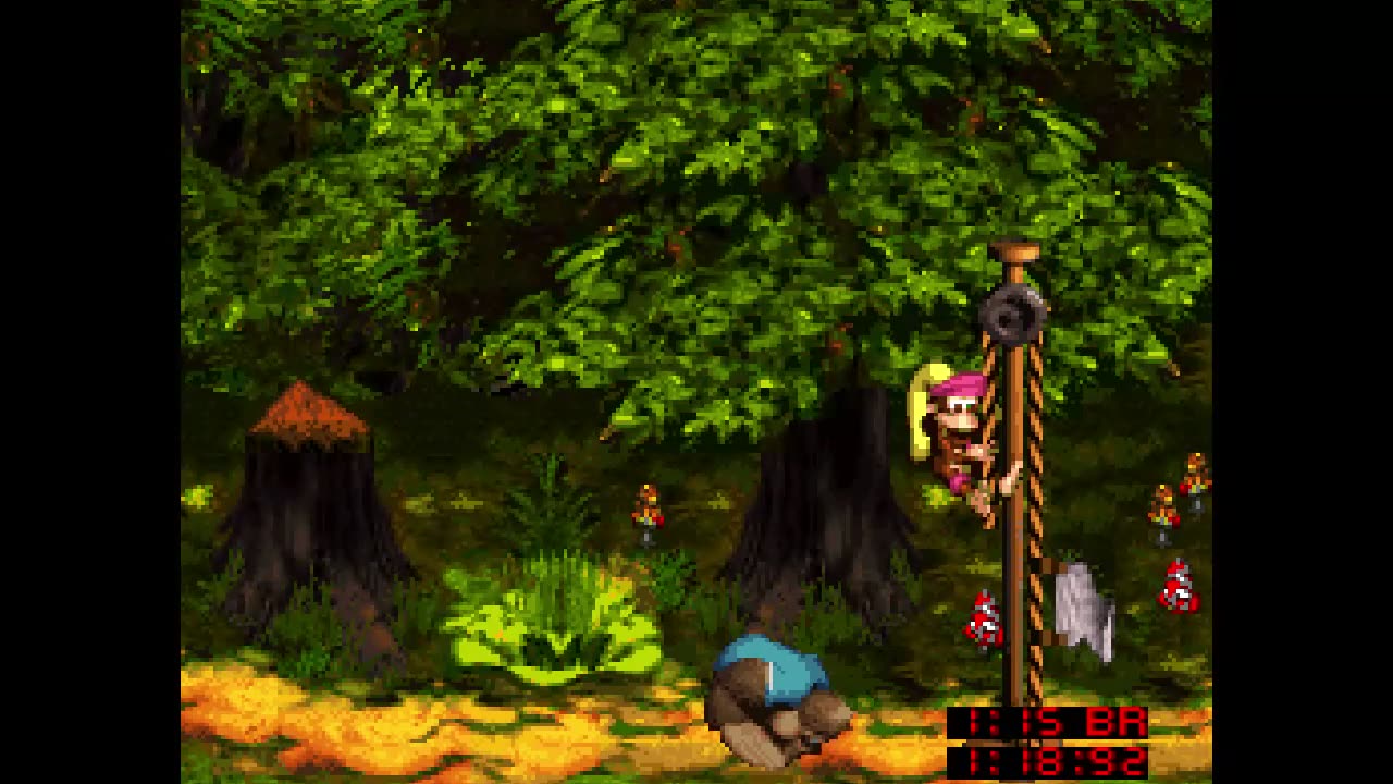 Donkey Kong Country 3 - Part 8