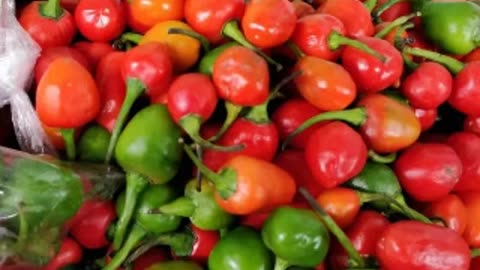 “Dalle Khursani: Nepal’s Hot & Healthy Chilli You Should Know About