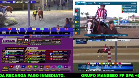 NETWORKSHORSETV
