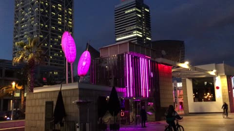 Nightlife (Port Olympic, Barcelona, Catalonia, Spain) 2