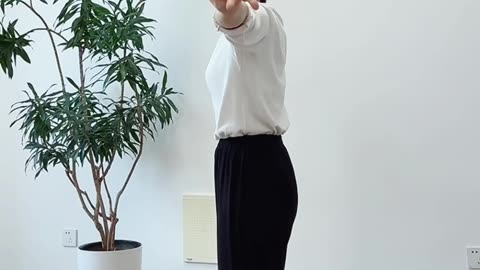 896.內外旋臂式