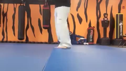 Tong Hap Kwan Hoshinsul Kicking Techniques