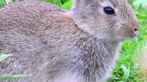 😍😂 Adorable Moments That Will Melt Your Heart! | FunFM