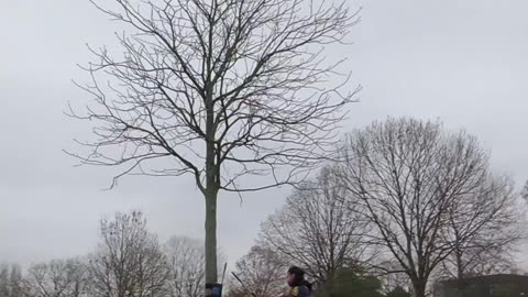 « Le chemin est long, mais chaque pas forge le guerrier. »