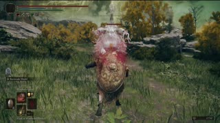 Elden Ring NG+1 | Tree Sentinel solo boss fight #eldenring #eldenringbosses #shorts