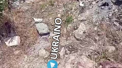 Ukraine war combat footage 8/3/25