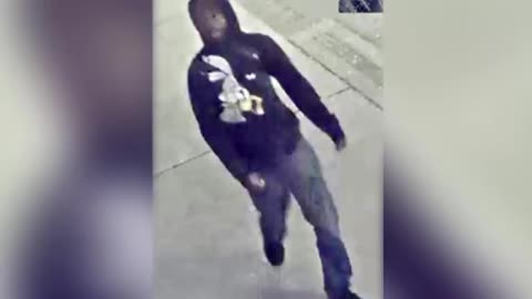 Niggers are now attacking Polacks