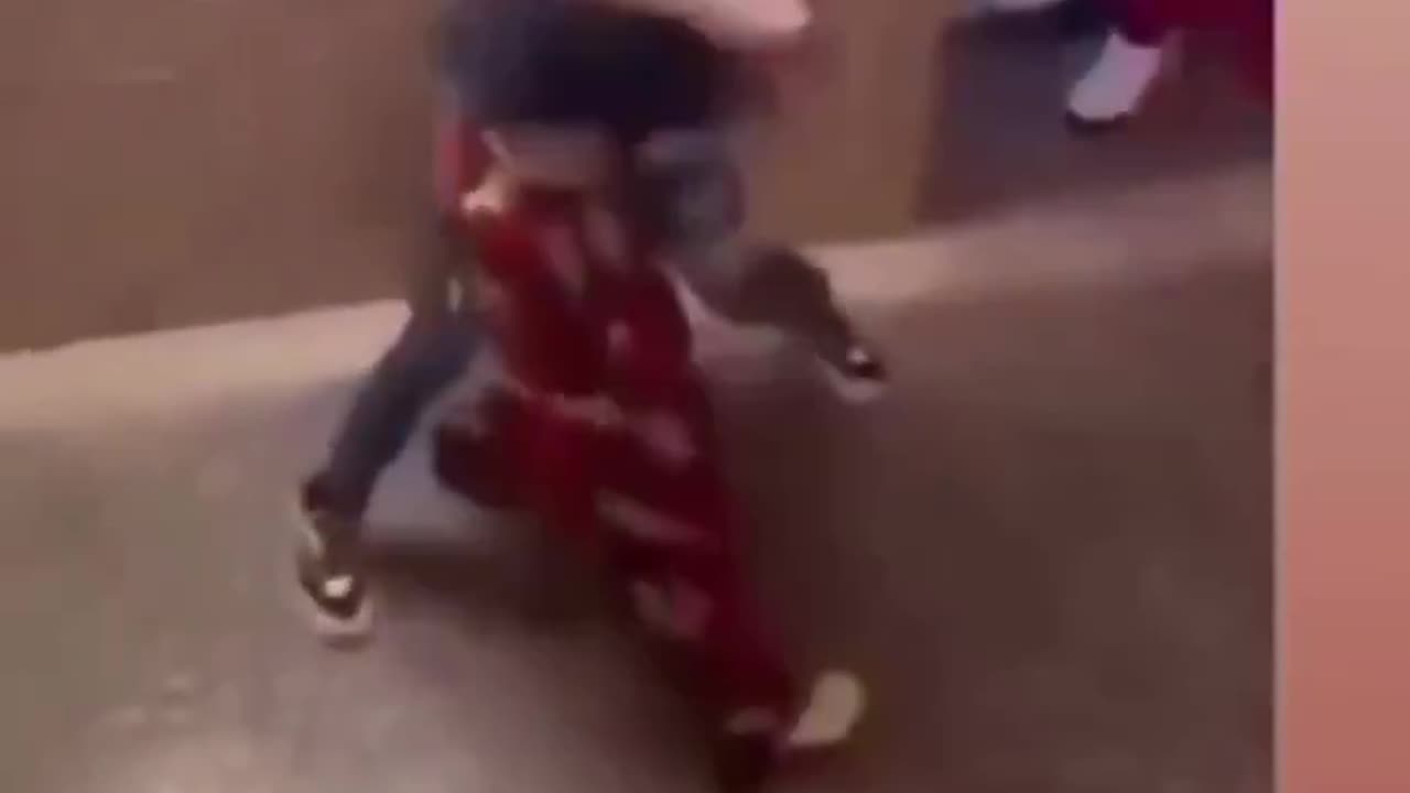 Mudsharks fighting each other for dangerous Negroes 2 - fitting into their stereotypical culture