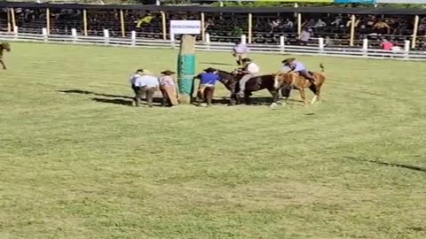 Actividades en el Ruedo Don Homero Formoso - Patria Gaucha 2025 - Tacuarembó, Domingo 16 de marzo