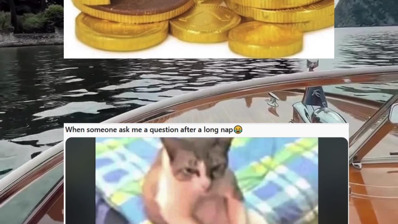 Memes of the day | funny memes | #funny