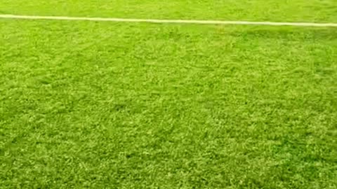 SAUDI FOOT BALL MATCH #goaloftheyear #soccergoals #top10goals