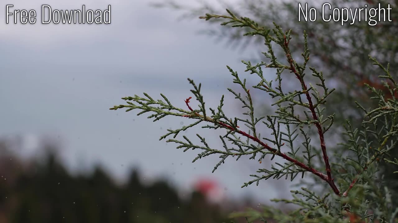 Mantra - Meditation Relax Background Music