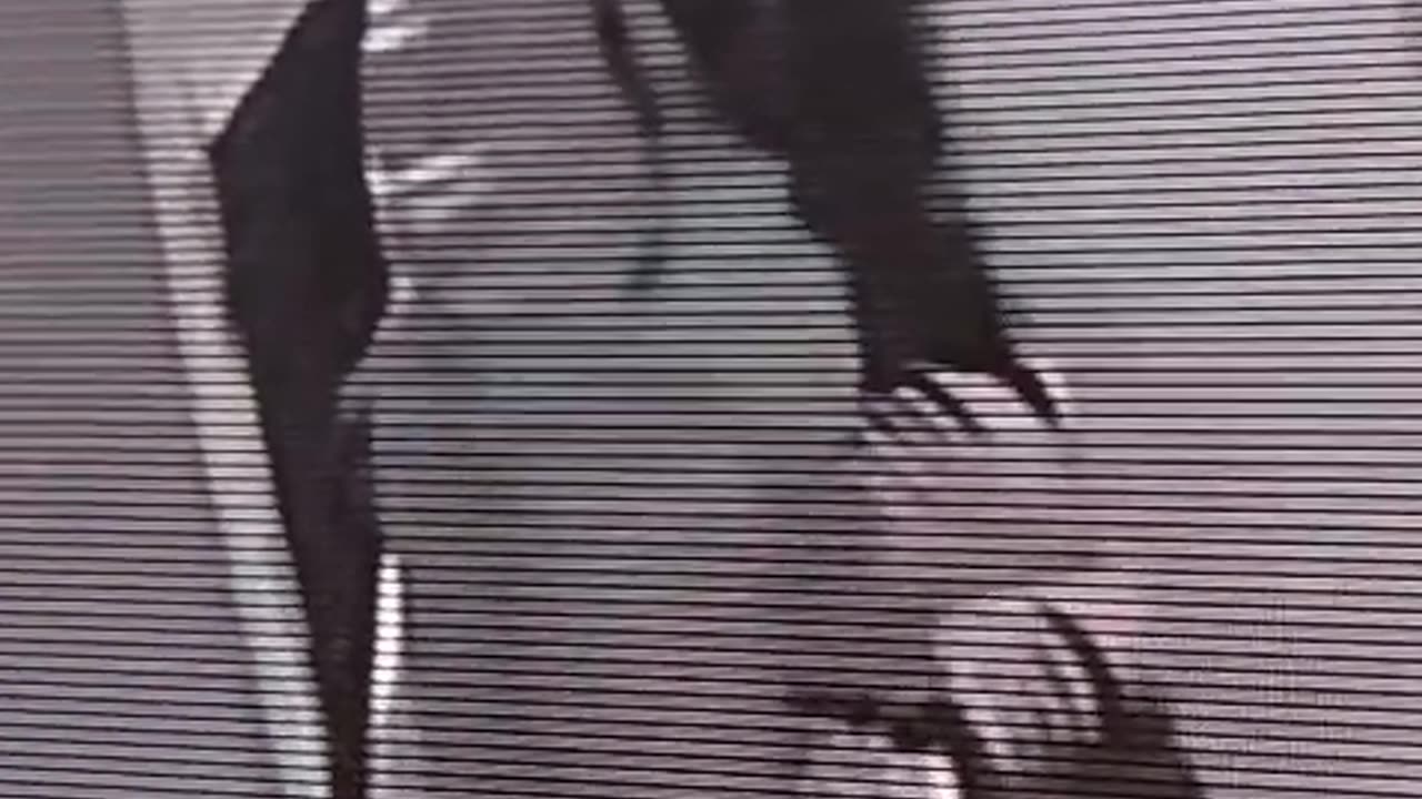 Video: robo en la Avenida Crisanto Luque