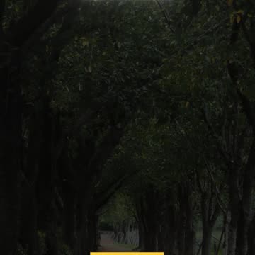 Joy & Regret on the Day of Judgment – Surah Al-Haqqah 20–27 | Al Qamar Production