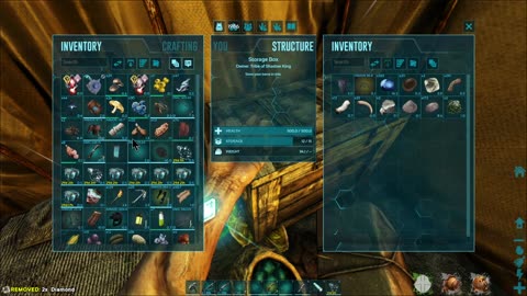 Ark game play