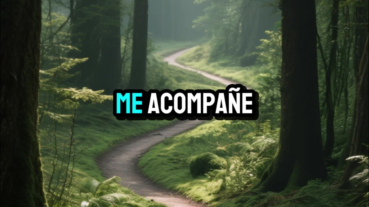 Señor, bendice mi día