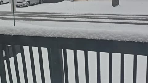 Oak Lawn, Illinois 12 / 07 / 25