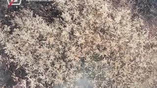 💣🇺🇦 Ukraine Russia War | 5th Assault Brigade Strikes Russian Soldiers in Donetsk | RCF