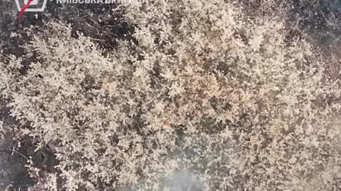 💣🇺🇦 Ukraine Russia War | 5th Assault Brigade Strikes Russian Soldiers in Donetsk | RCF