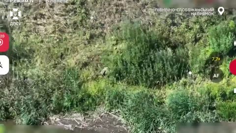 ⚡️In the North-Slobozhansk direction, border guards-operators of RUBpAK