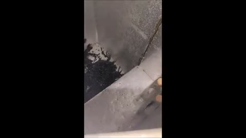 The guy who has the alien in Panama interacts with the creature by moving it with a stick