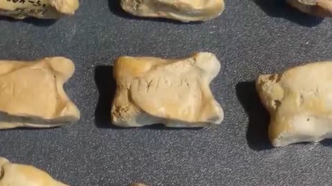 This Was a Real Magic Wand_ 5 Mysterious Ancient Artifacts of Magic